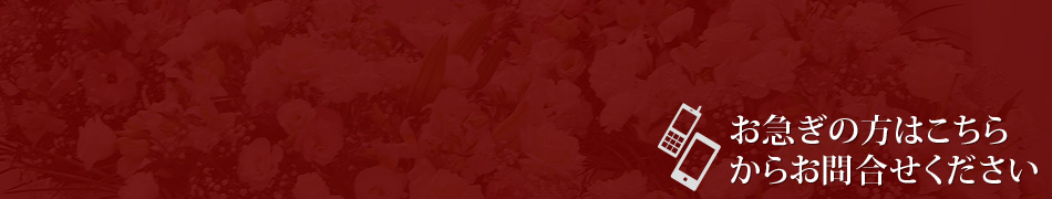 ʿ���פؤΤ��ޤ��ξ���Ϣ����